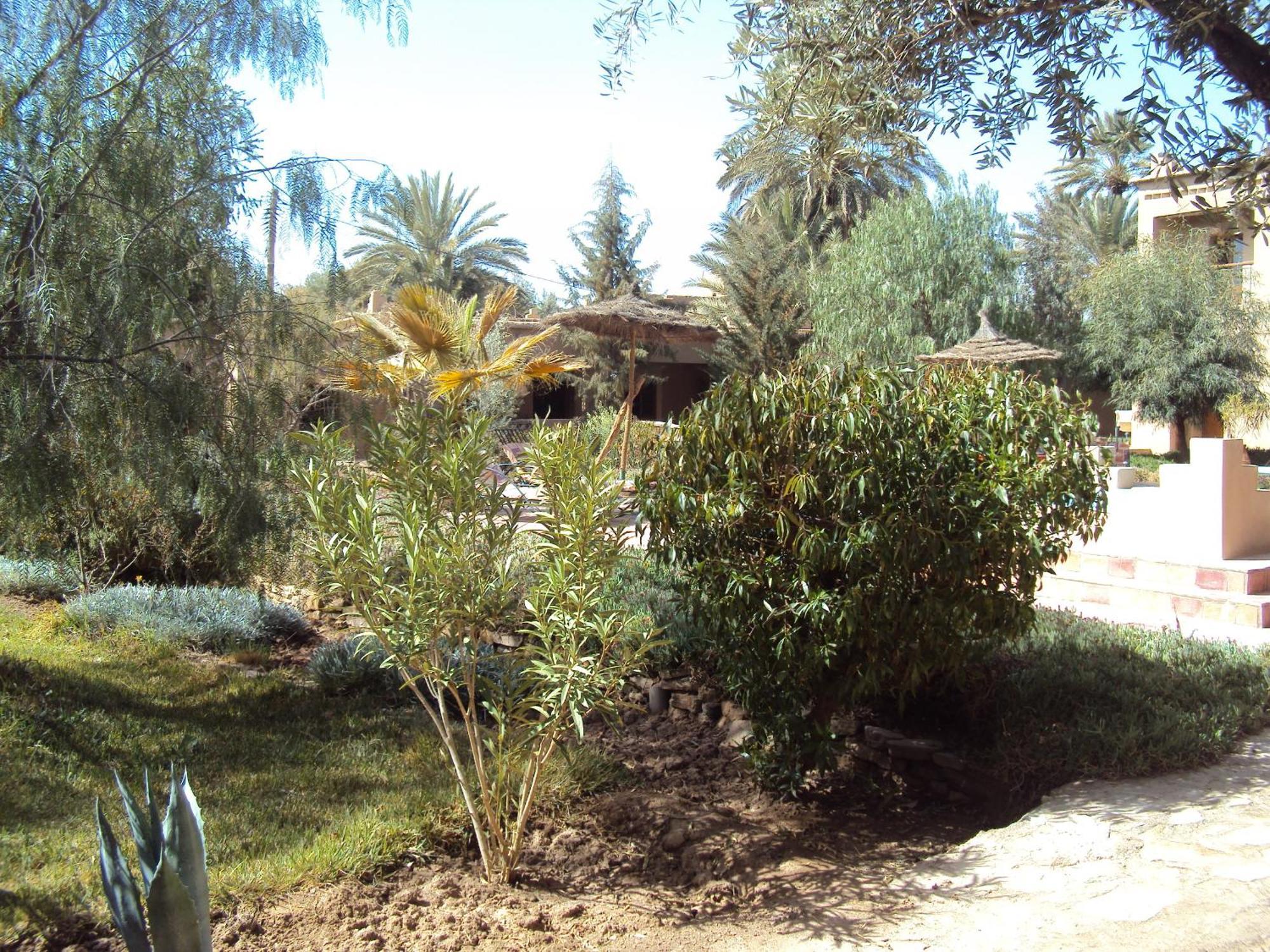 Bed and Breakfast Dar Lorkam à Skoura Extérieur photo