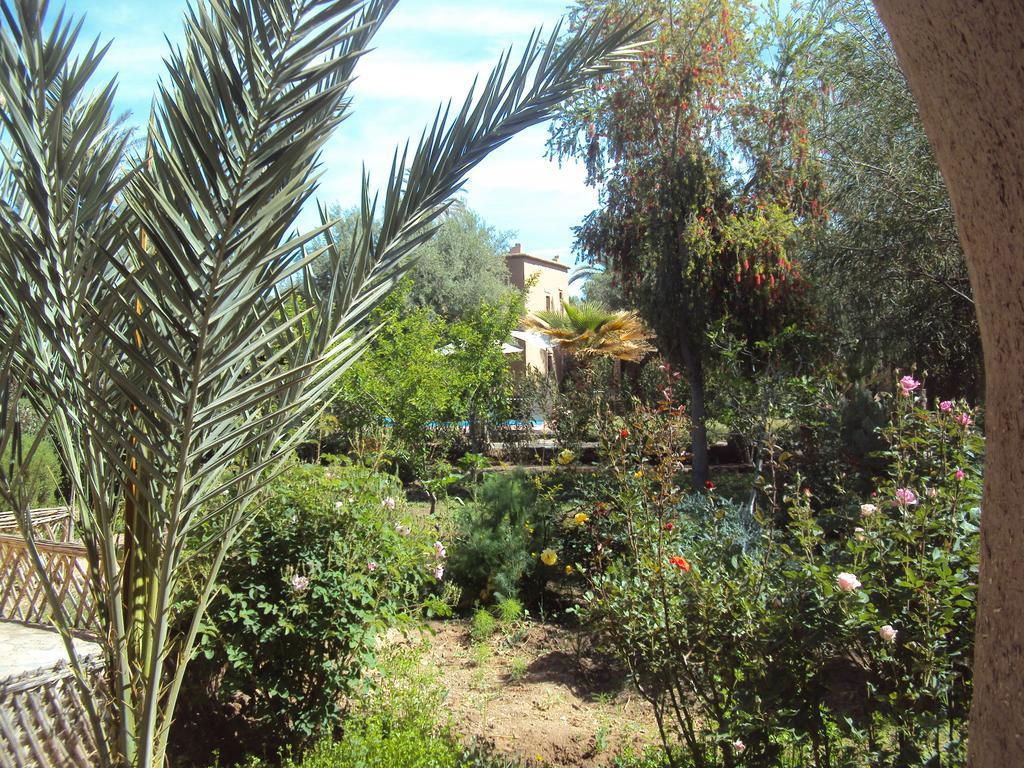 Bed and Breakfast Dar Lorkam à Skoura Extérieur photo