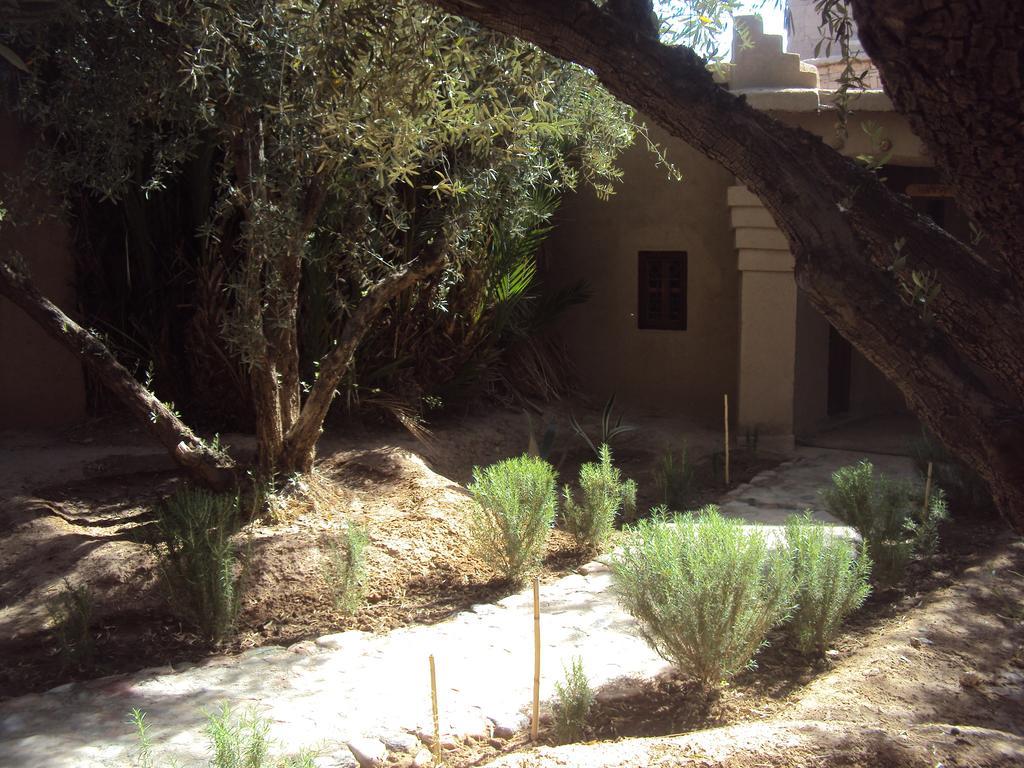 Bed and Breakfast Dar Lorkam à Skoura Extérieur photo